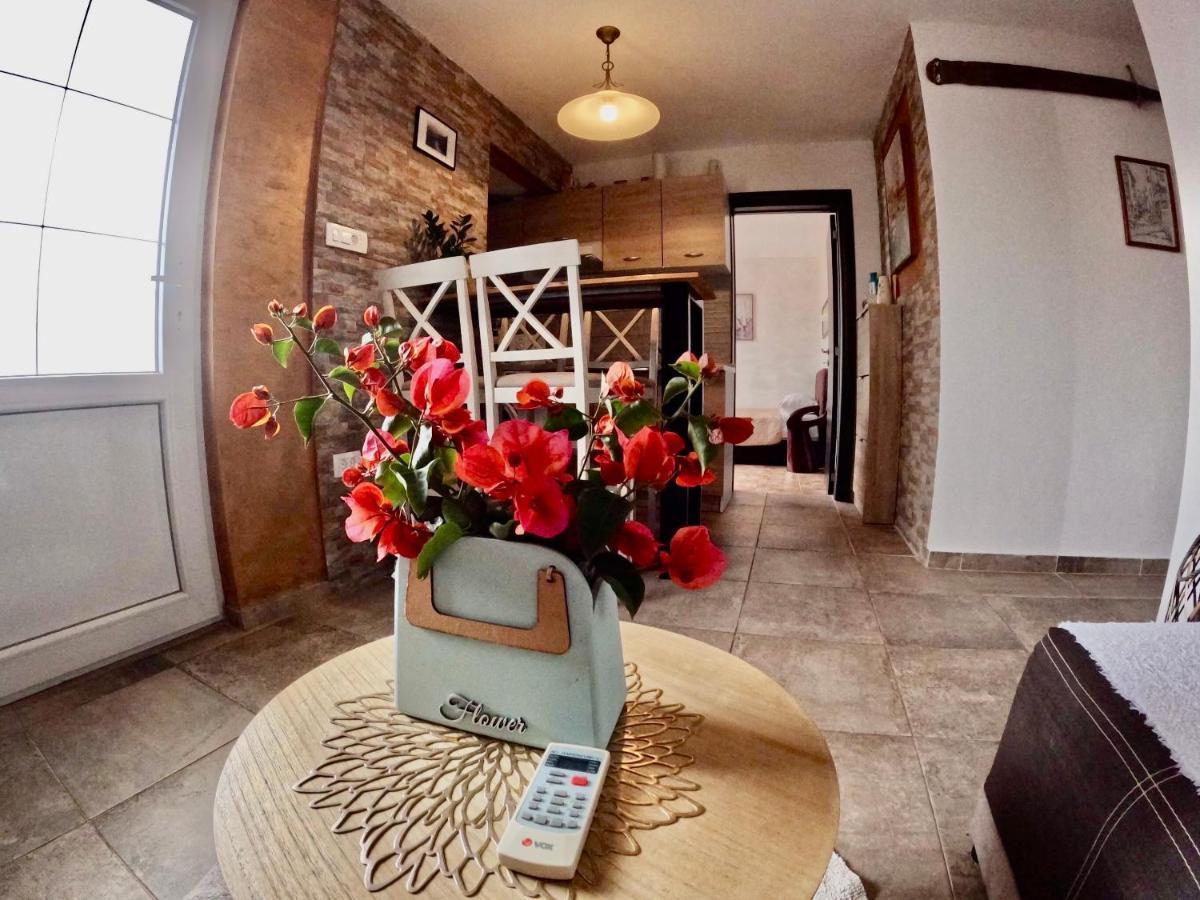 Krasići Apartments Obradovic מראה חיצוני תמונה