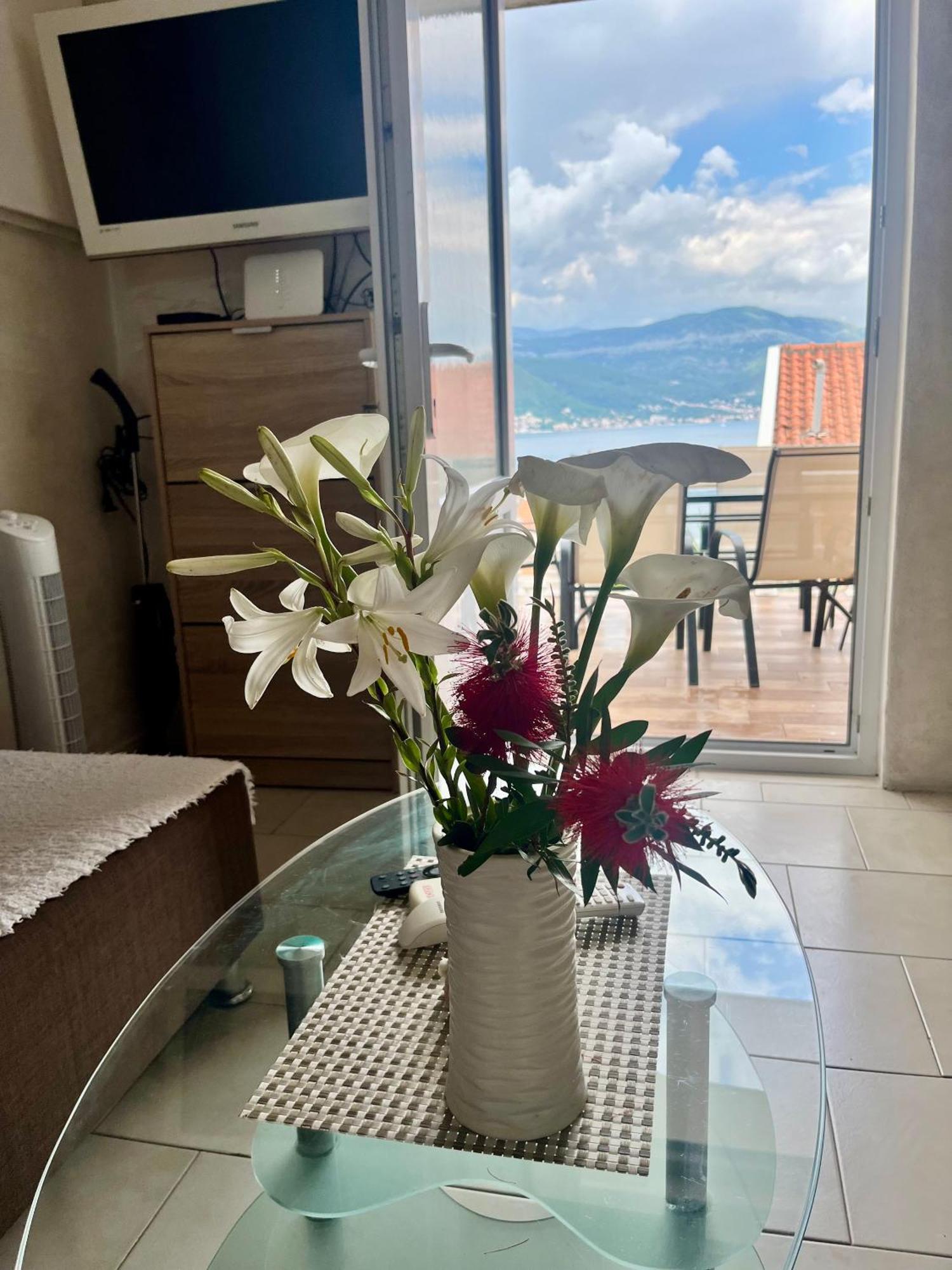 Krasići Apartments Obradovic חדר תמונה